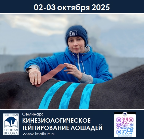 КИНЕЗИОЛОГИЧЕСКОЕ ТЕЙПИРОВАНИЕ ЛОШАДЕЙ