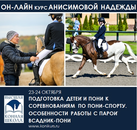 Онлайн-курс ПОДГОТОВКА ДЕТЕЙ НА ПОНИ К СОРЕВНОВАНИЯМ ПО ПОНИ-СПОРТУ. ОСОБЕННОСТИ РАБОТЫ С ПАРОЙ ВСАДНИК-ПОНИ