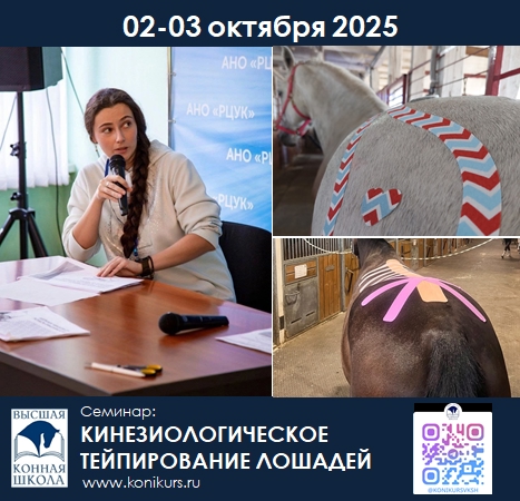 Приглашаем 02-03 октября на программу: 