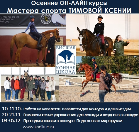 Приглашаем на ОСЕННИЙ БЛОК он-лайн курсов по кавалетти и конкуру!