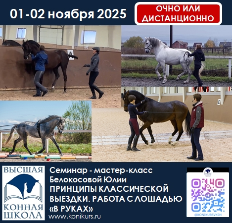 Приглашаем 01-02 ноября на курс: ПРИНЦИПЫ КЛАССИЧЕСКОЙ ВЫЕЗДКИ. РАБОТА С ЛОШАДЬЮ «В РУКА