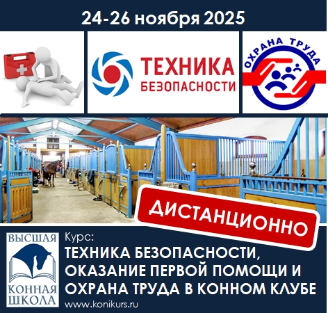 Приглашаем 24-26 ноября 2025 г. на курс: 