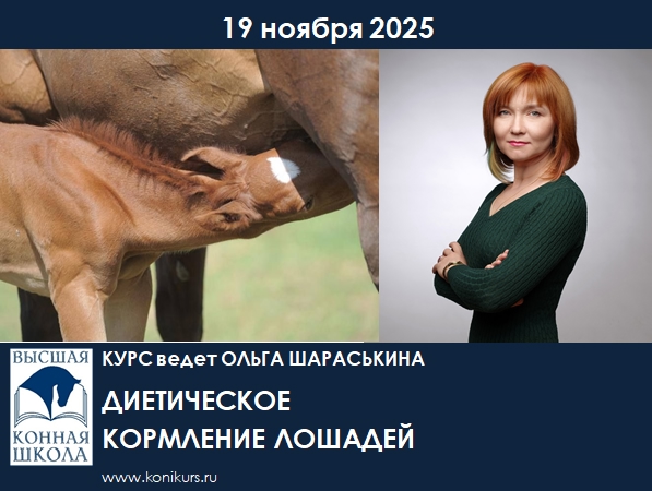 Приглашаем 19 ноября 2025 года на курс под руководством доктора сельскохозяйственных наук, доцента СПбГАУ Шараськиной Ольги Геннадьевны «ДИЕТИЧЕСКОЕ КОРМЛЕНИЕ ЛОШАДЕЙ»