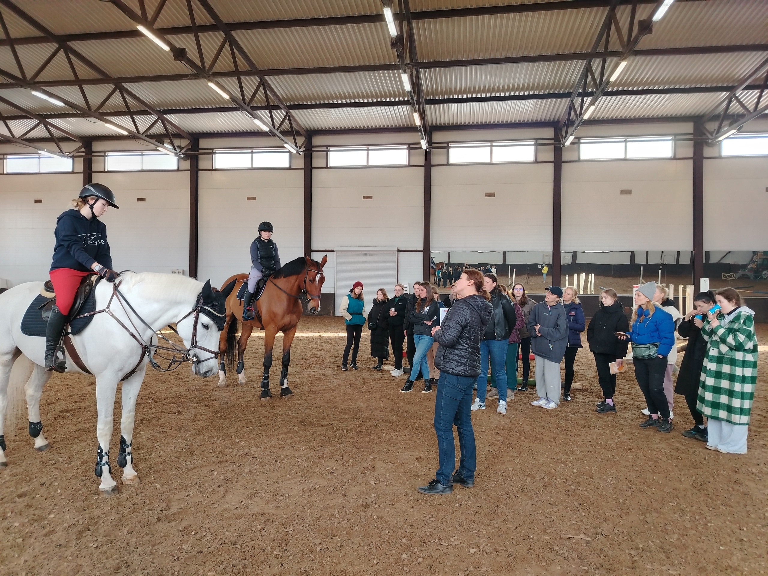 Приглашаем на курсы для тренеров конных клубов: