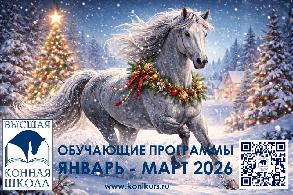 Приглашаем на образовательные программы в ЯНВАРЕ-МАРТЕ 2026 г