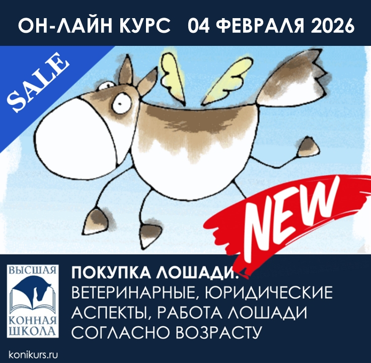 Приглашаем 04 февраля 2026 года на ОН-ЛАЙН курс: «ПОКУПКА ЛОШАДИ: ВЕТЕРИНАРНЫЕ, ЮРИДИЧЕСКИЕ АСПЕКТЫ, РАБОТА ЛОШАДИ СОГЛАСНО ВОЗРАСТУ»