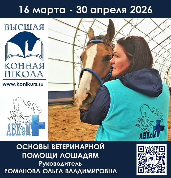 Приглашаем 16 марта - 30 апреля 2026 года в Санкт-Петербурге на курс повышения квалификации для тренеров, спортсменов, частных владельцев: «ОСНОВЫ ВЕТЕРИНАРНОЙ ПОМОЩИ ЛОШАДЯМ