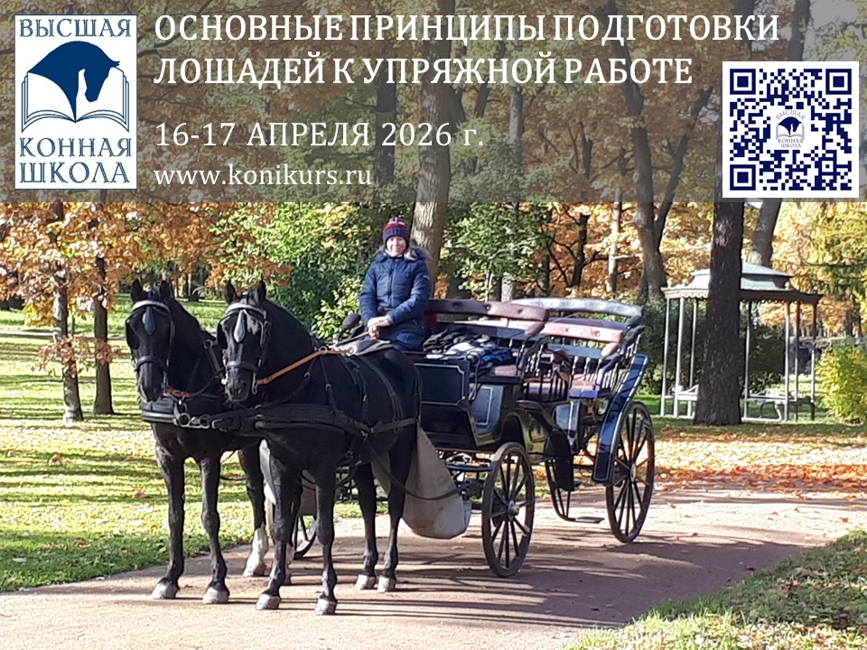 Приглашаем 16-17 апреля тренеров, спортсменов, частных владельцев и заинтересованных лиц: «ОСНОВНЫЕ ПРИНЦИПЫ ПОДГОТОВКИ ЛОШАДИ К УПРЯЖИ»