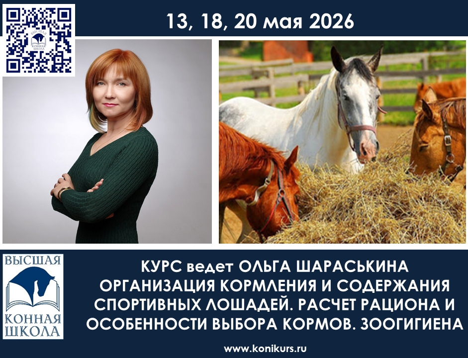 13,18,20 мая 2026 года пройдет курс «Организация кормления содержания спортивных лошадей. Расчет рациона и особенности выбора кормов. Зоогигиена»