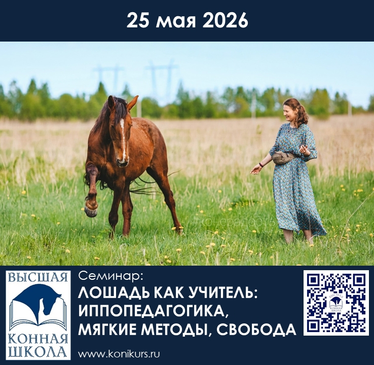 25 мая 2026 г.  состоится программа: 