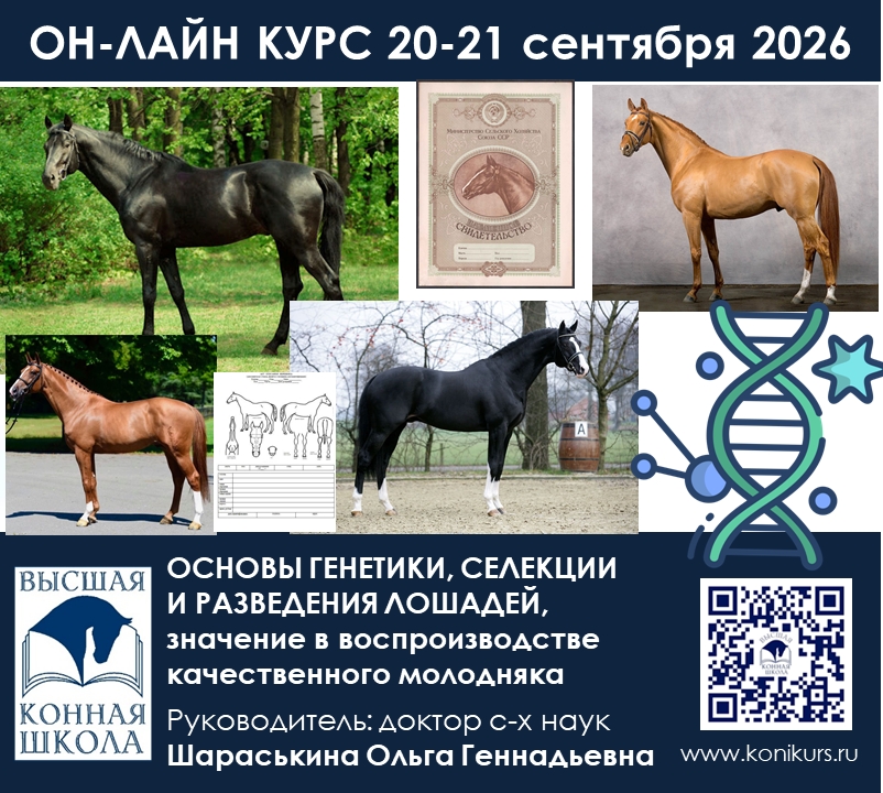 Приглашаем 20-21 сентября на ОНЛАЙН-КУРС «Основы генетики, селекции и разведения лошадей, значение в воспроизводстве качественного молодняка»