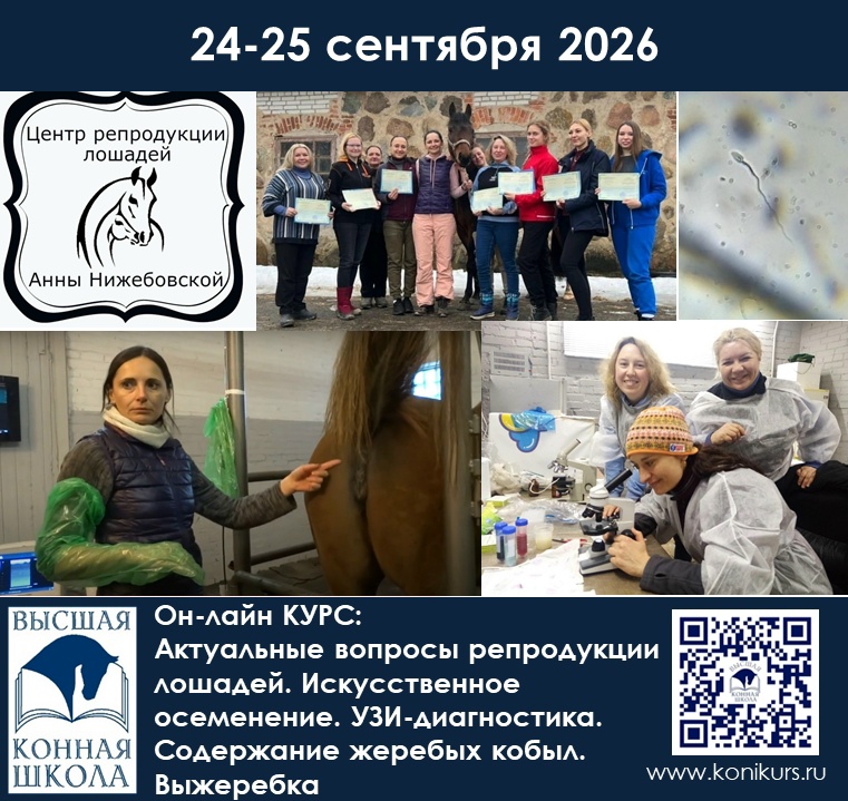 Приглашаем 24-25 сентября на ОНЛАЙН-КУРС: АКТУАЛЬНЫЕ ВОПРОСЫ РЕПРОДУКЦИИ ЛОШАДЕЙ. ИСКУССТВЕННОЕ ОСЕМЕНЕНИЕ. УЗИ-ДИАГНОСТИКА. СОДЕРЖАНИЕ ЖЕРЕБЫХ КОБЫЛ. ВЫЖЕРЕБКА
