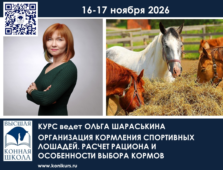 Организация кормления спортивных лошадей̆. Расчет рациона и особенности выбора кормов