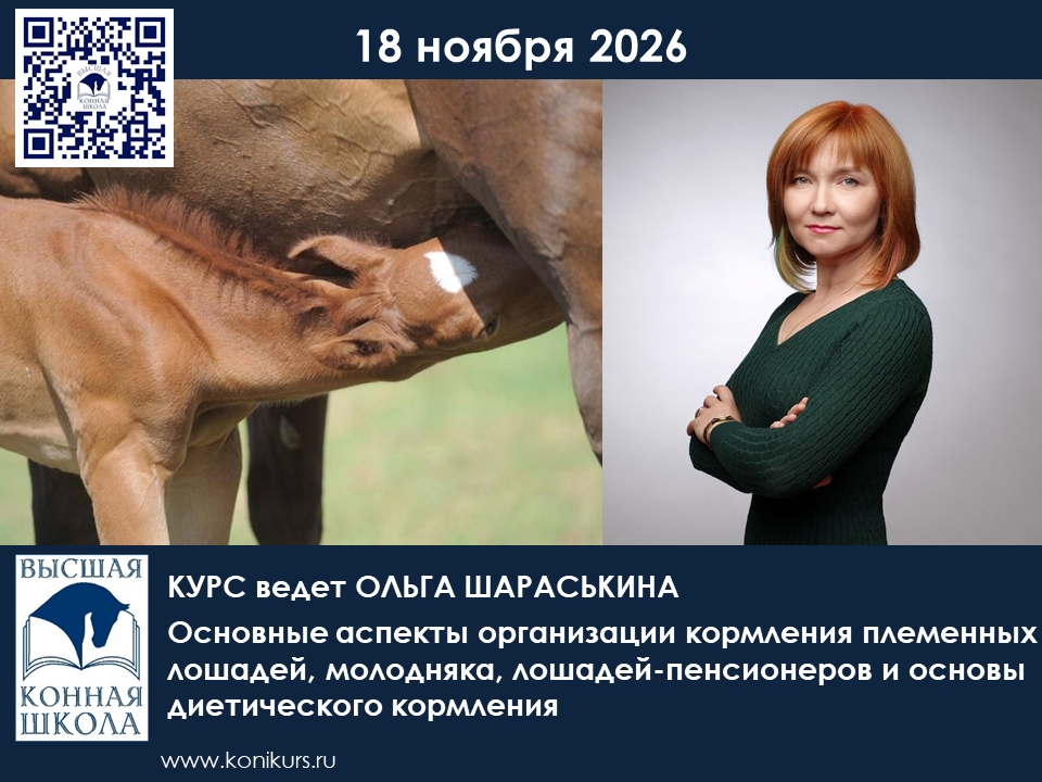Основные аспекты организации кормления племенных лошадей, молодняка, лошадей-пенсионеров и основы диетического кормления