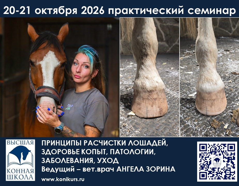Приглашаем 20-21 октября на практический семинар: ПРИНЦИПЫ РАСЧИСТКИ ЛОШАДЕЙ, ЗДОРОВЬЕ КОПЫТ, ПАТОЛОГИИ, ЗАБОЛЕВАНИЯ, УХОД