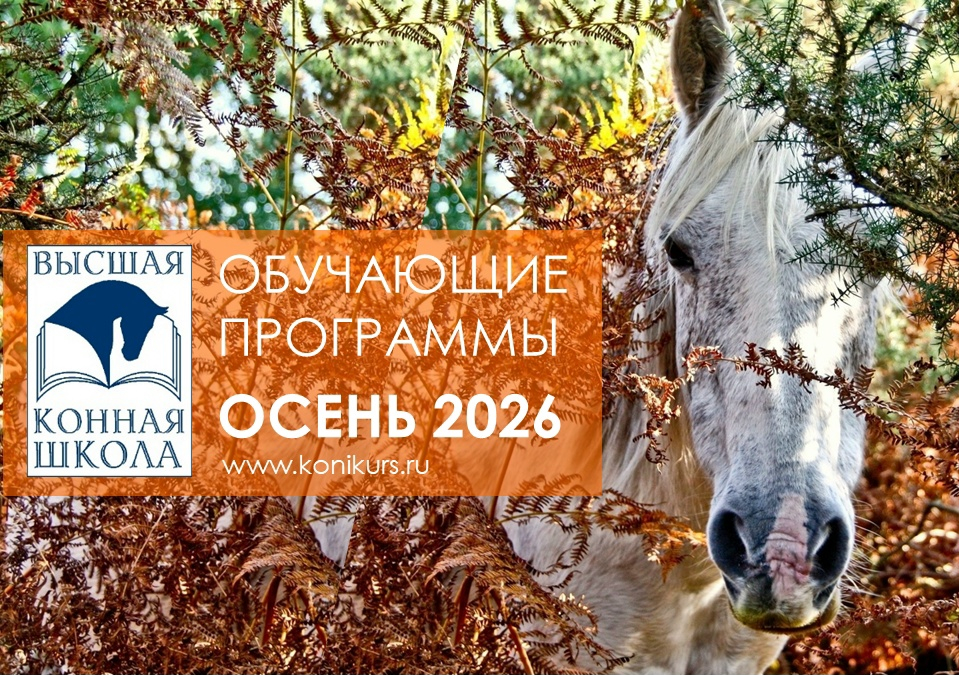 Приглашаем на образовательные программы в ОСЕНЬЮ!